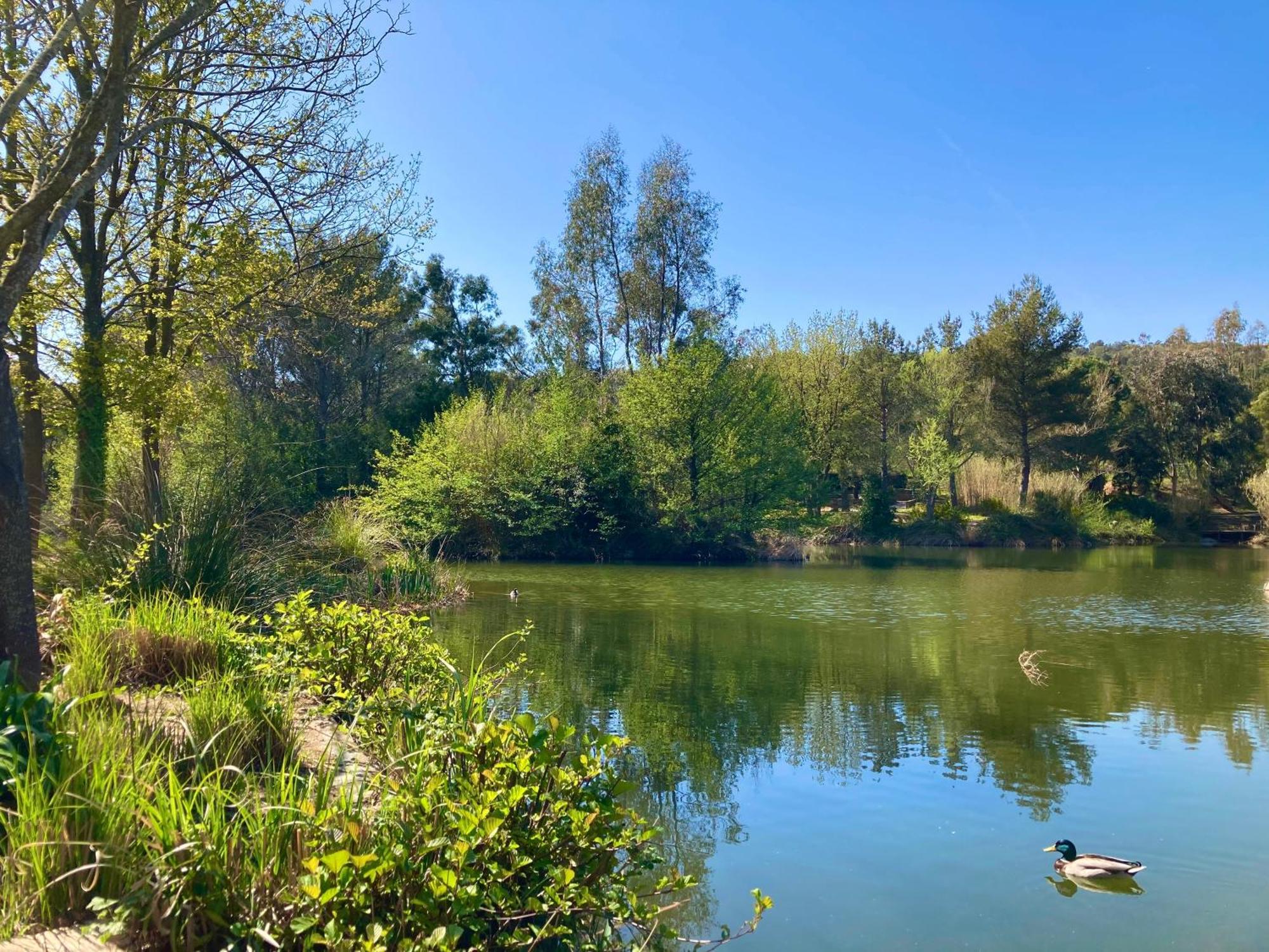 Les Restanques 3120 Vue Mer 3 Chambres Grimaud Kültér fotó